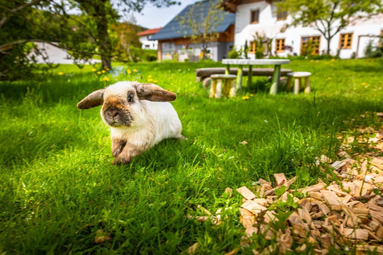 Ferienwohnung Vorderreithbauer Hof bei Salzburg Exterior foto